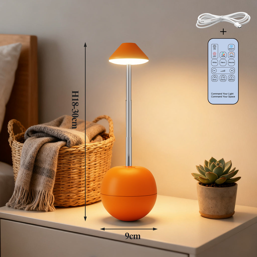 LED lumière de nuit rechargeable de table décorative lampe de bureau de chambre à coucher télécommande