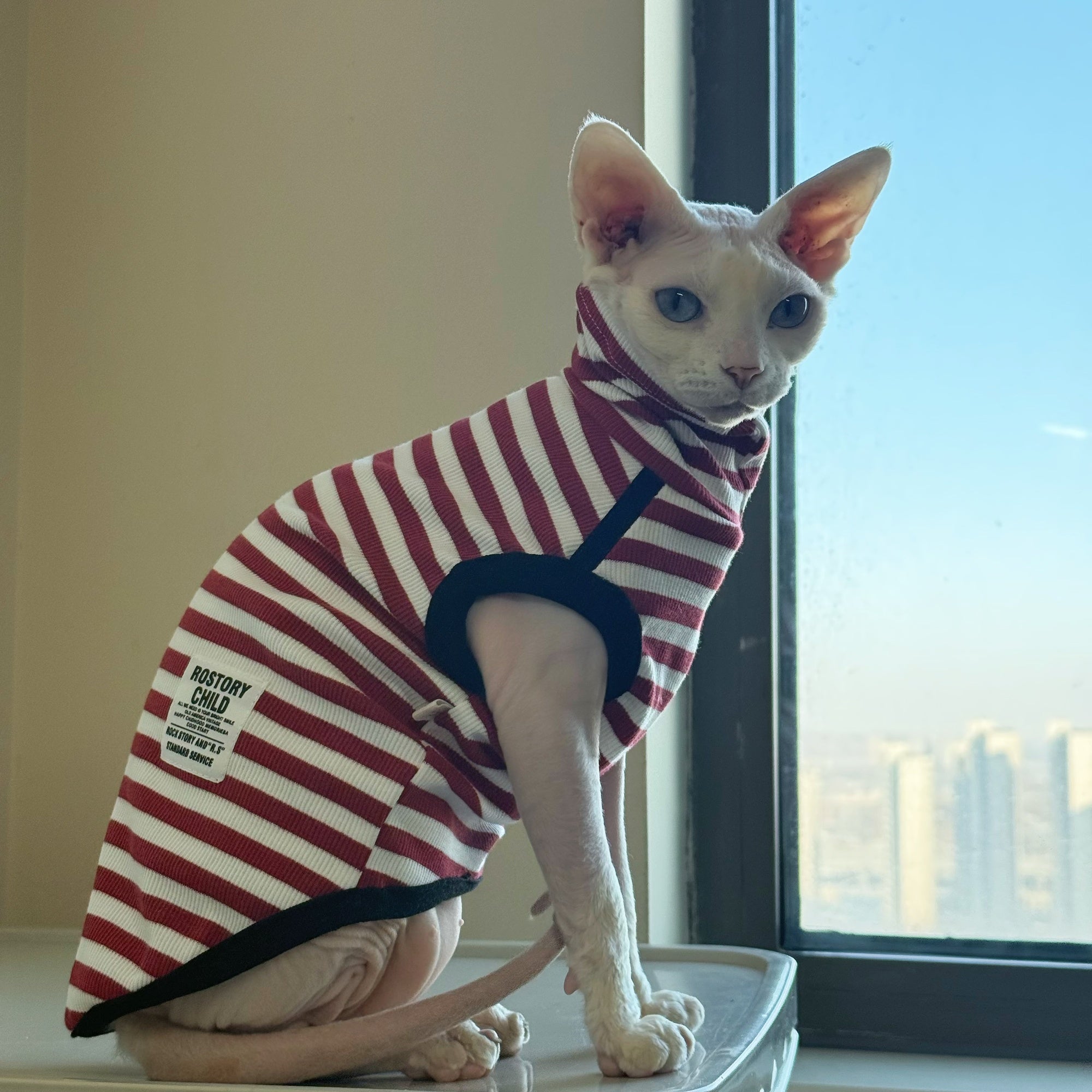 Sphynx Chemise sans manches de printemps de chat rouge et blanc rayé vêtements de mode pour les chats sans cheveux