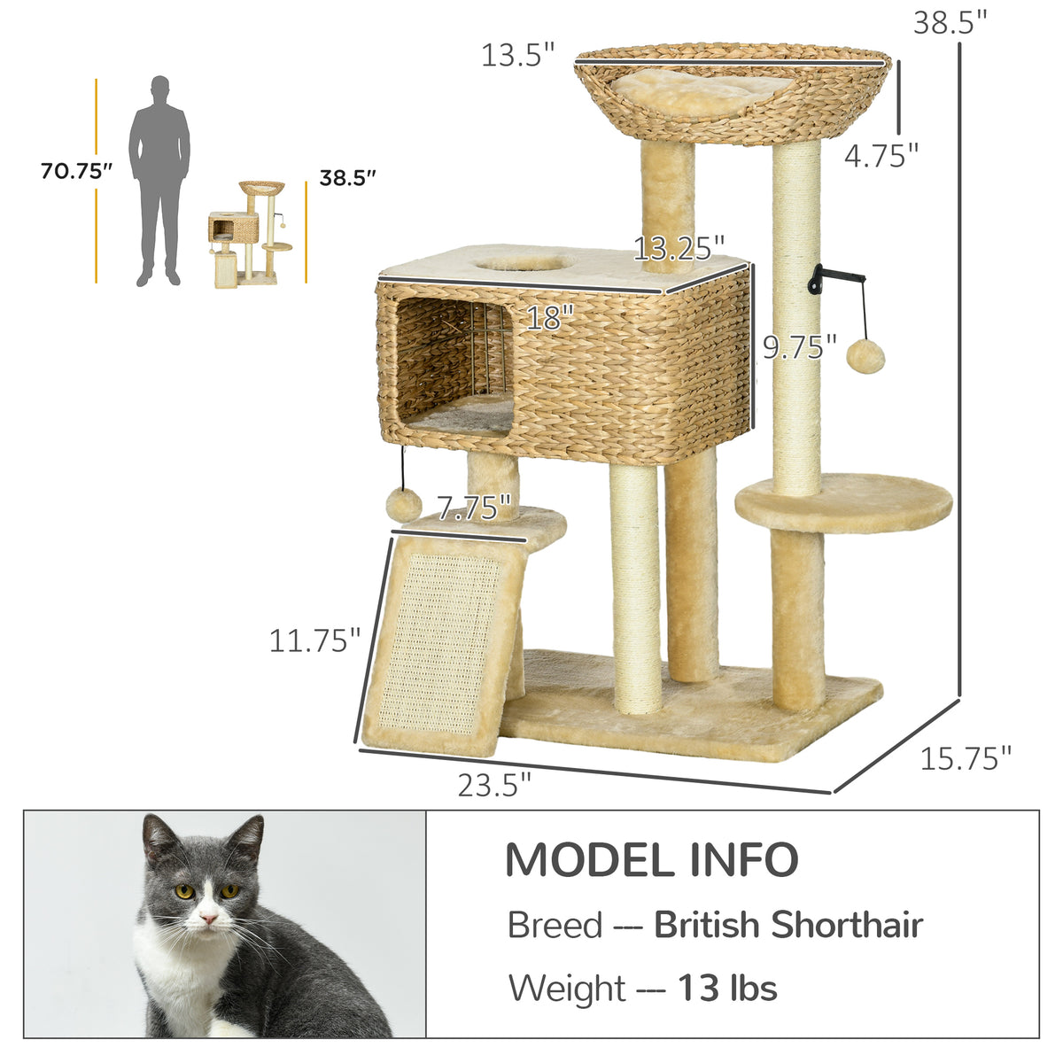 Arbre de chat pour les chats d'intérieur avec des postes de scratching