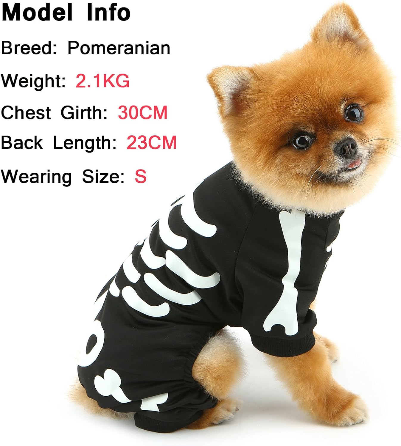 Costumes de chien d'Halloween pour petit chien Glow dans le sombre Skeleton Pet Jumpsuit Skull Puppy Pa