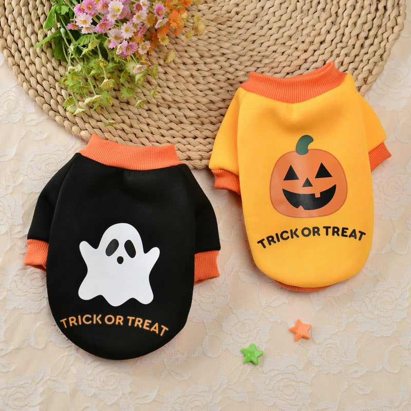 Halloween Pumpkin Crâne animal Teddy Petit chien Automne Chandail d'hiver