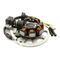 Magneto Stator Compatible with Apache 50cc 100cc Quad Bike ATV 2 Stroke Scooter