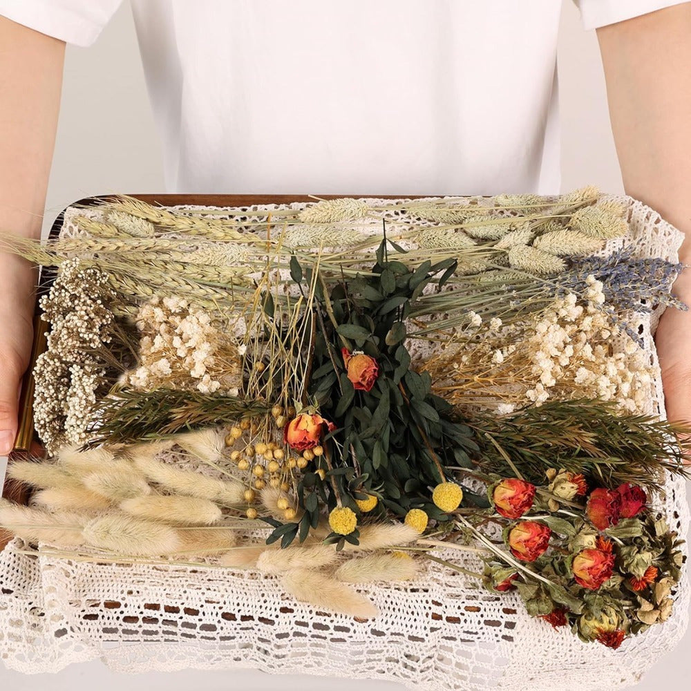 Set de bricolage de fleurs séchées de 160 pièces