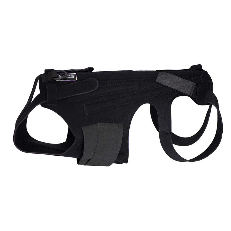 Veste de secours pour chiens de compagnie