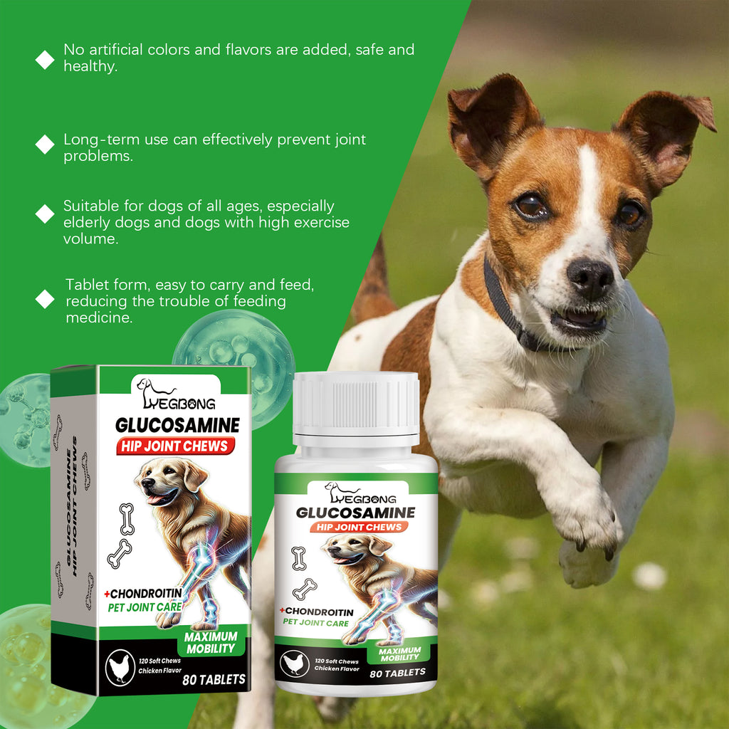 Chien Glucosamine Hip Mâches articulaires