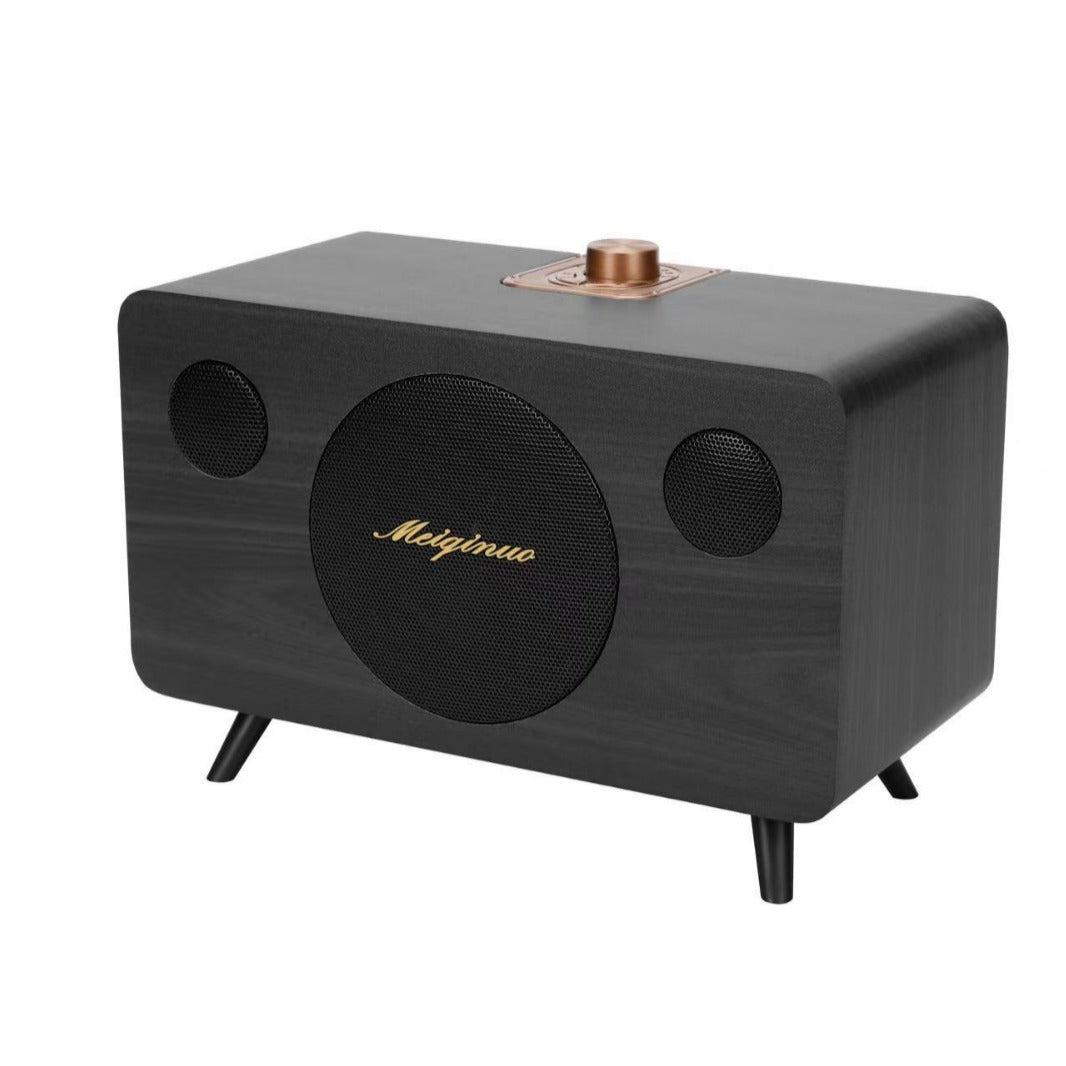 Haut-parleur Bluetooth portable extérieur