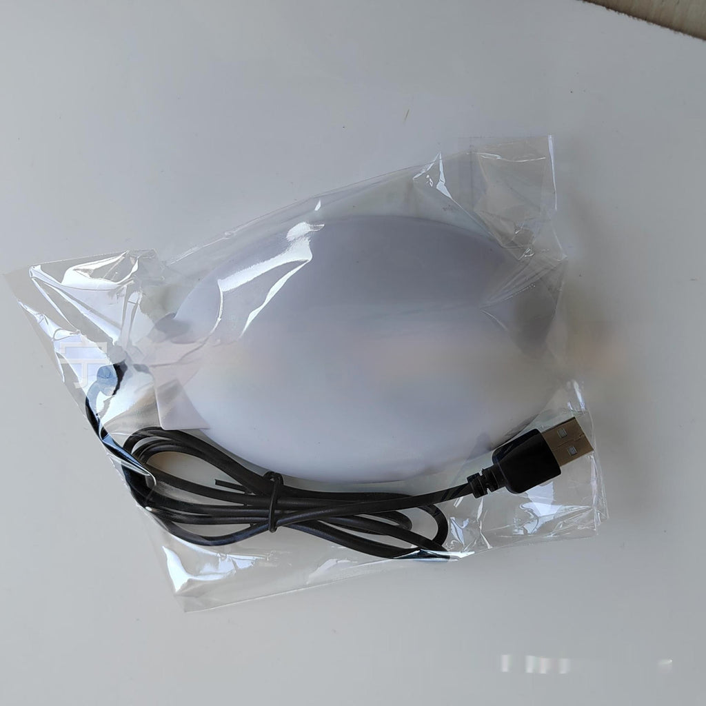 Chauffe-eau Thermostatique pour oiseaux de volaille