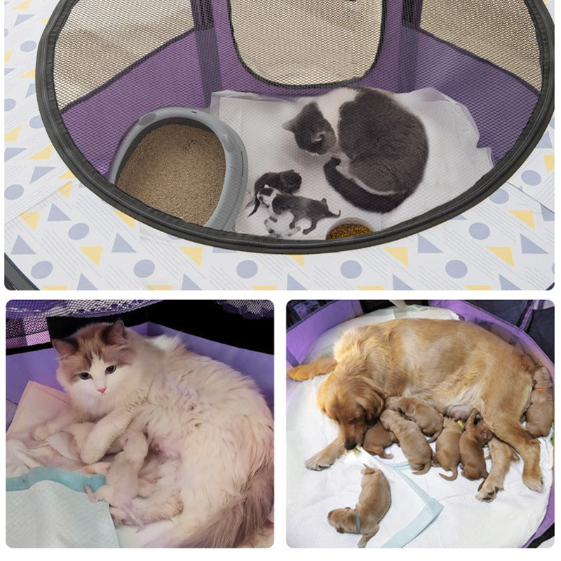Salle de livraison des chats Tente fermée