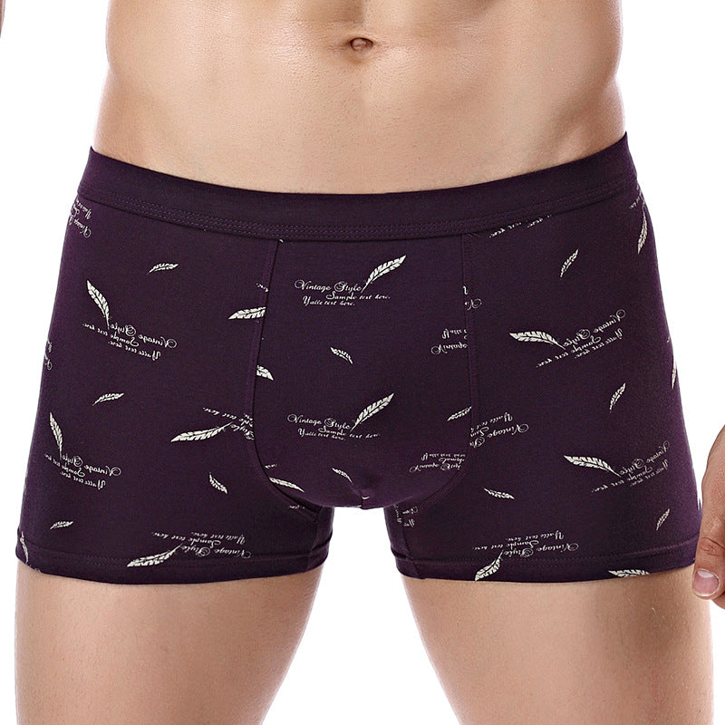Pure Cotton U Convex Boxer Slips Mid-waist Sous-vêtements
