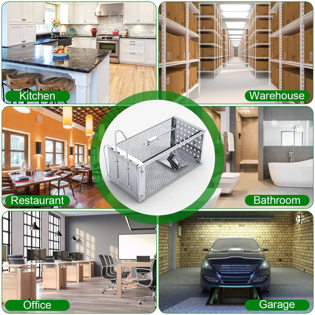 Cage de piège à rats à haute sensibilité - Construction en acier inoxydable