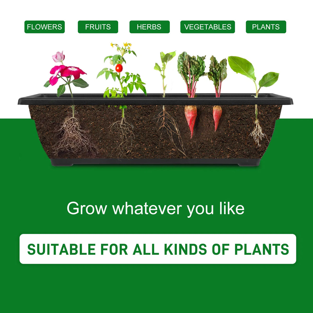 5 niveaux Lit de jardin vertical