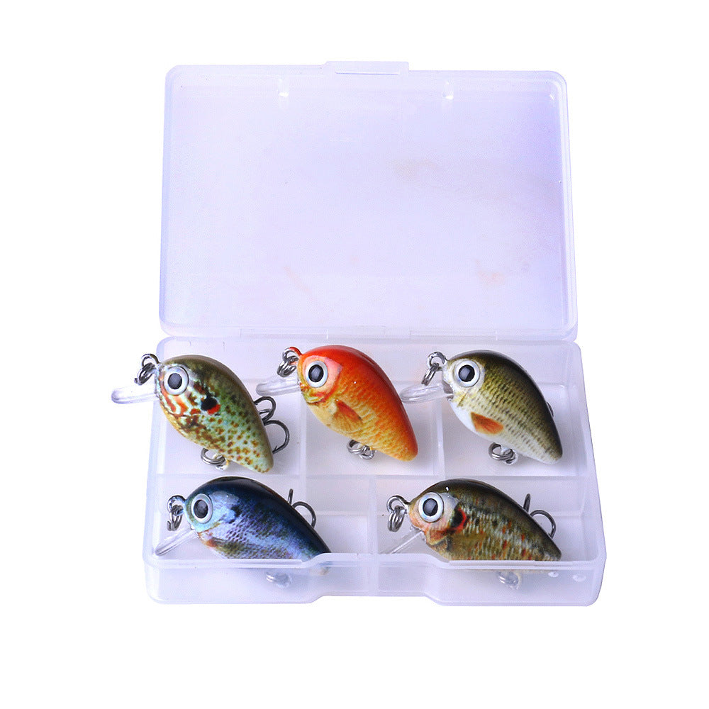 5 couleurs Lure Set 1,5G Mini Rock Lure Fishing Lure Box