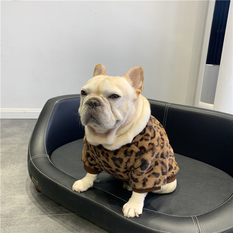 Vêtements de chien polaire doublé chaud rembourré garder Corgi et Shiba Inu Jarre Aero Bull