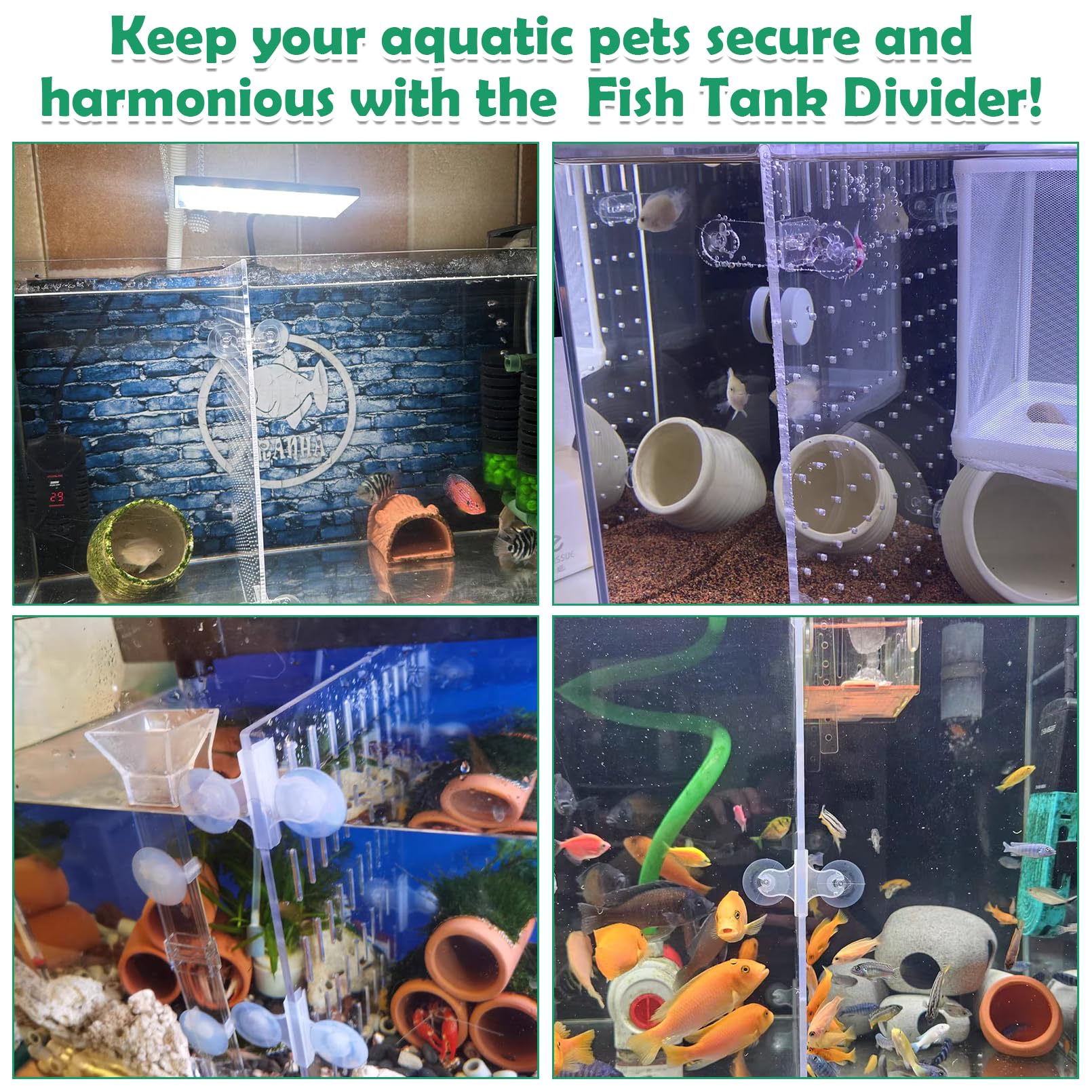 Diviseur de réservoir de poisson Diviseur d'aquarium acrylique avec 8 ventouses PCS