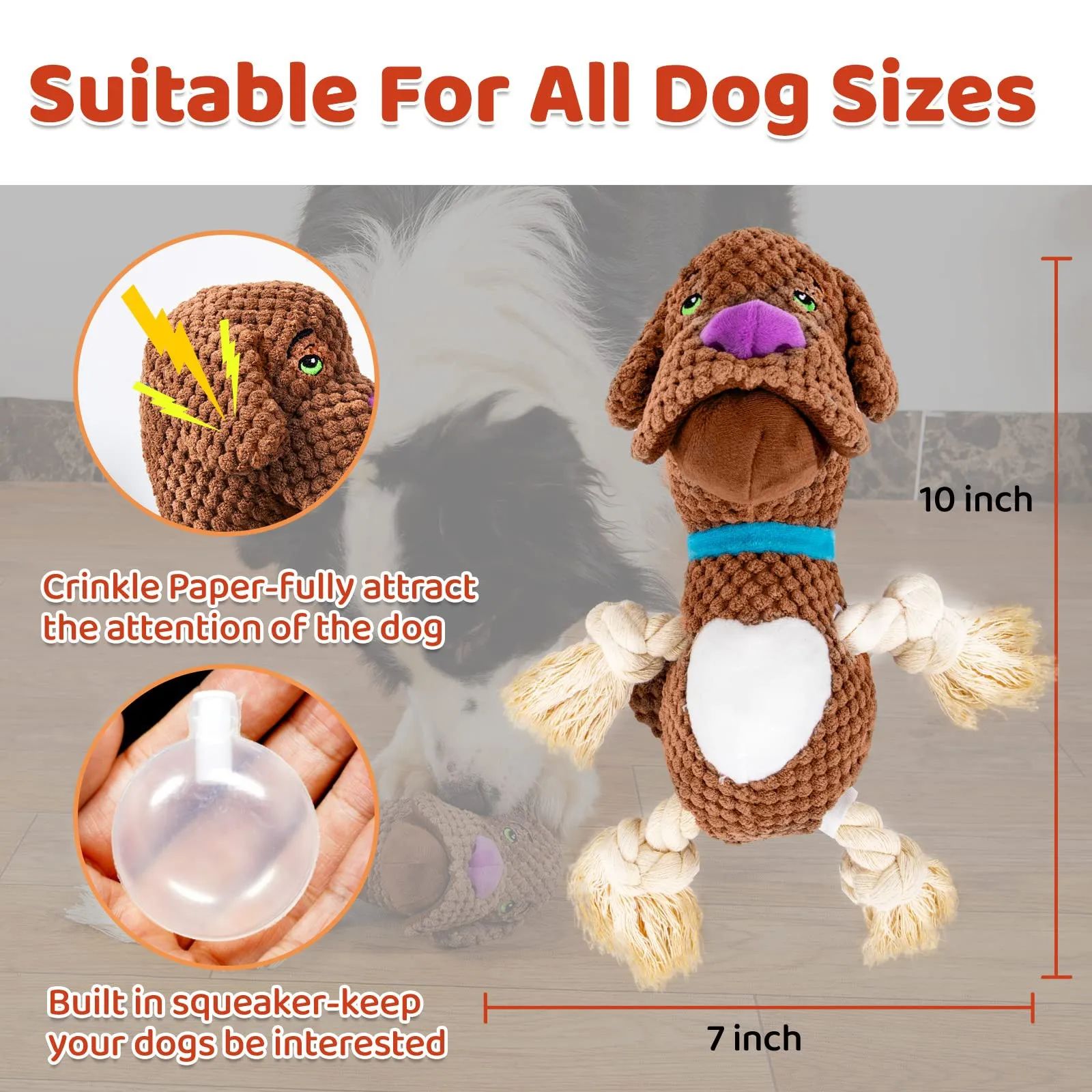 Type de coquille de peluche de chien contenant du papier son Bb appelé jouet de molar résistant aux piqûres Intera