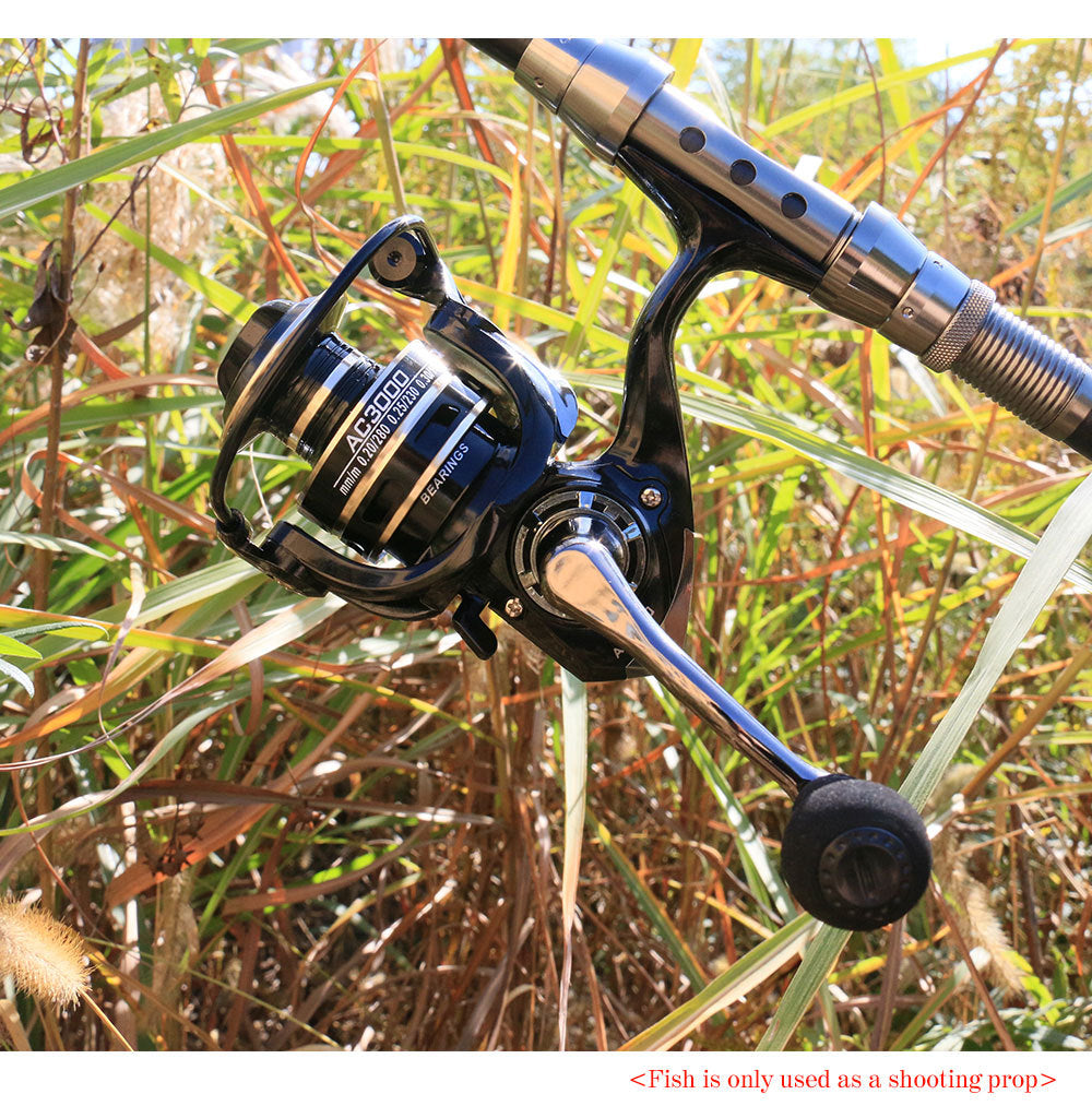 Roue de pêche Roue de pêche en métal Bait de pêche télescopique