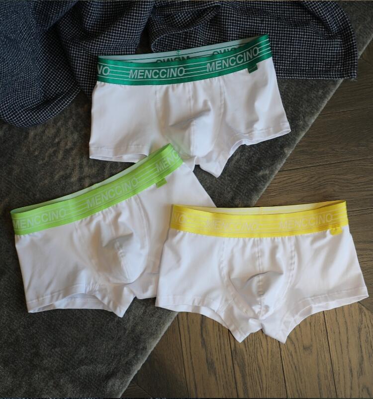 Sous-vêtements pour hommes Coton Solid Color Low Waist