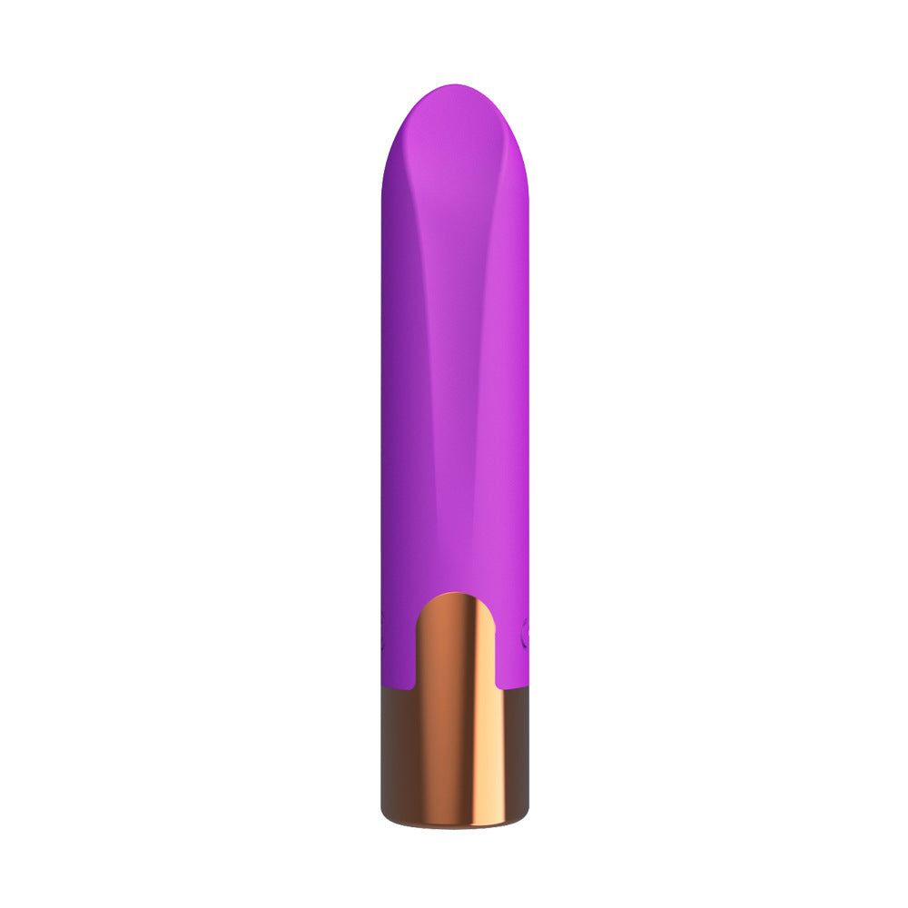 Massage personnel en silicone rechargeable avec 10 modes de vibration et charge magnétique USB