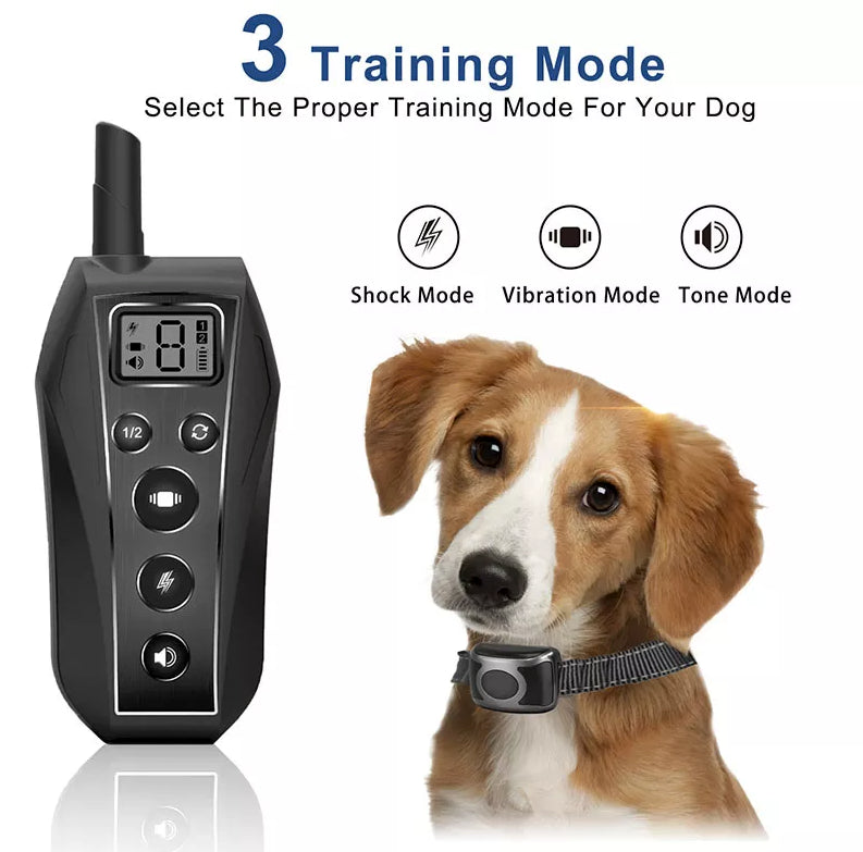 650 YD Remote Dog Training Choc Collar Imperméable pour petits chiens de taille moyenne