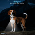 Déterrent de barking de chien télécommandé