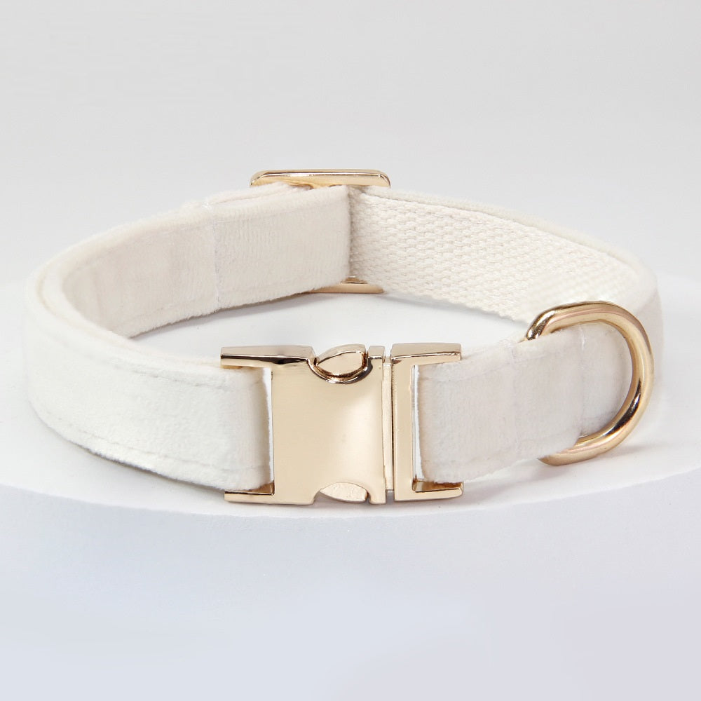 Collier de chien avec des lettres gravées