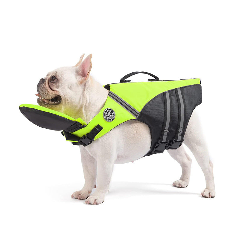 Maillot de bain professionnel pour animaux de compagnie