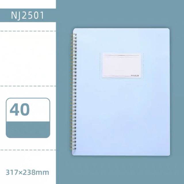 Morandi Couleur A4 Dossier d'information interstitielle Coil