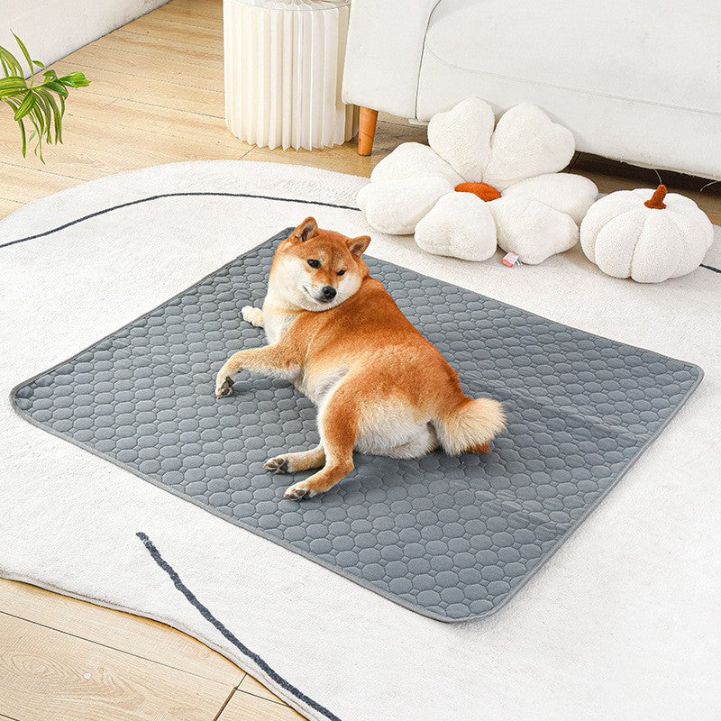 Lavable imperméable réutilisable Pet Pad