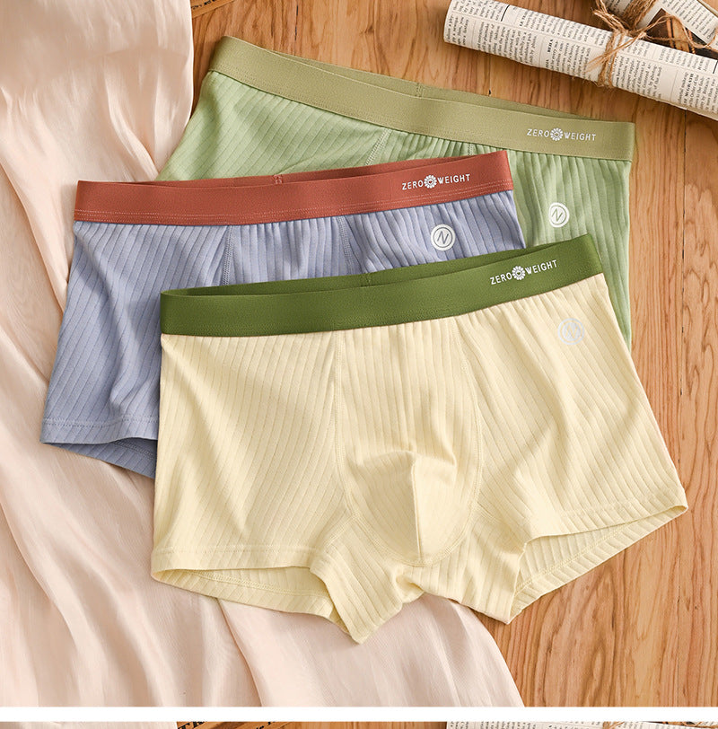 Sous-vêtements pour hommes en coton purifié rayé Couleur contrastante de la taille moyenne