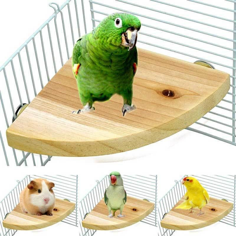 Escalade et jeu Bird Cage Accessoires Toy Solid Wood Jumping Platform Standing Board