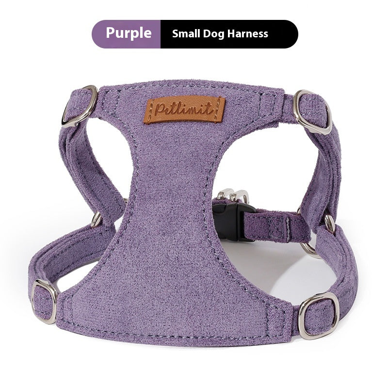 Puppy main tenant la corde Veste chien marche