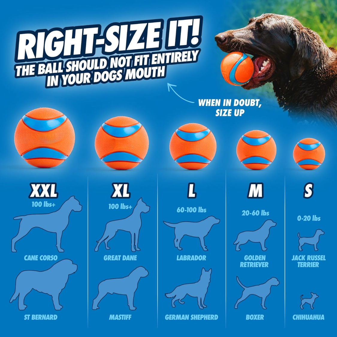 Jouet de chien ultra-balle - Boules de chien moyen pour chiens 20-60 Lb - Fait à partir de caoutchouc durable