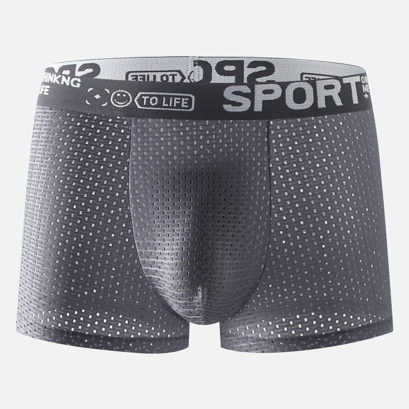 Sous-vêtements Hommes Ice Silk Mesh Boxers