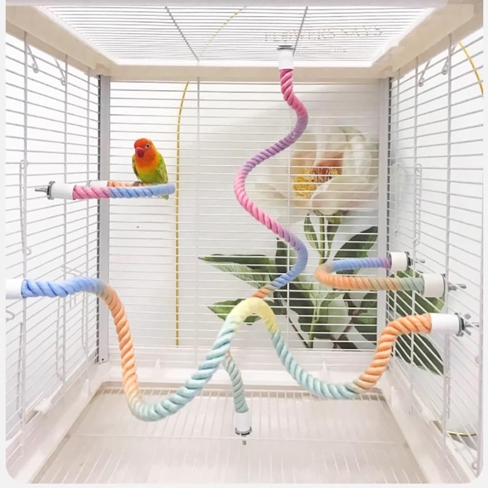 Stand de perche de corde d'oiseau coloré gradué pour les cages d'oiseau Bendable Cage d'escalade Accesso