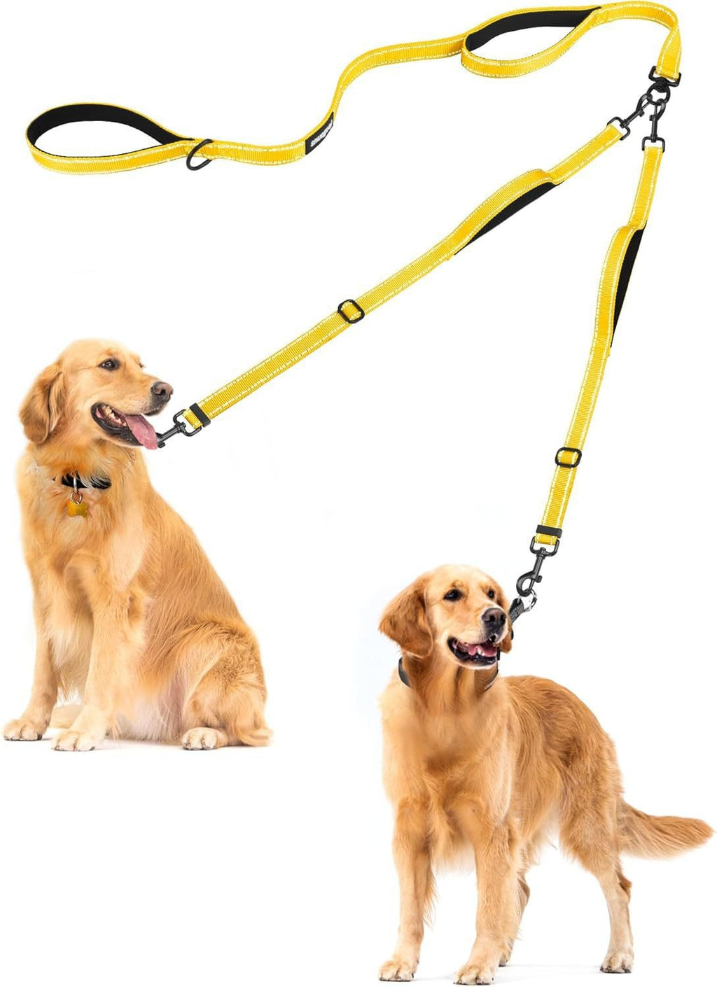 Encaisse pour animaux de compagnie