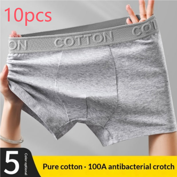 Boxer en coton antibactérien haut de gamme pour hommes