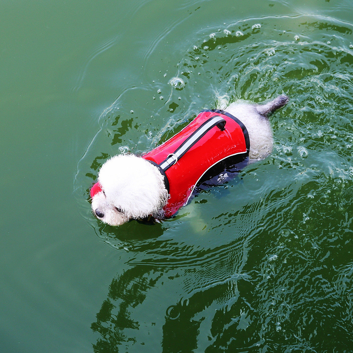 Suit d'entraînement de natation pour chiots d'été