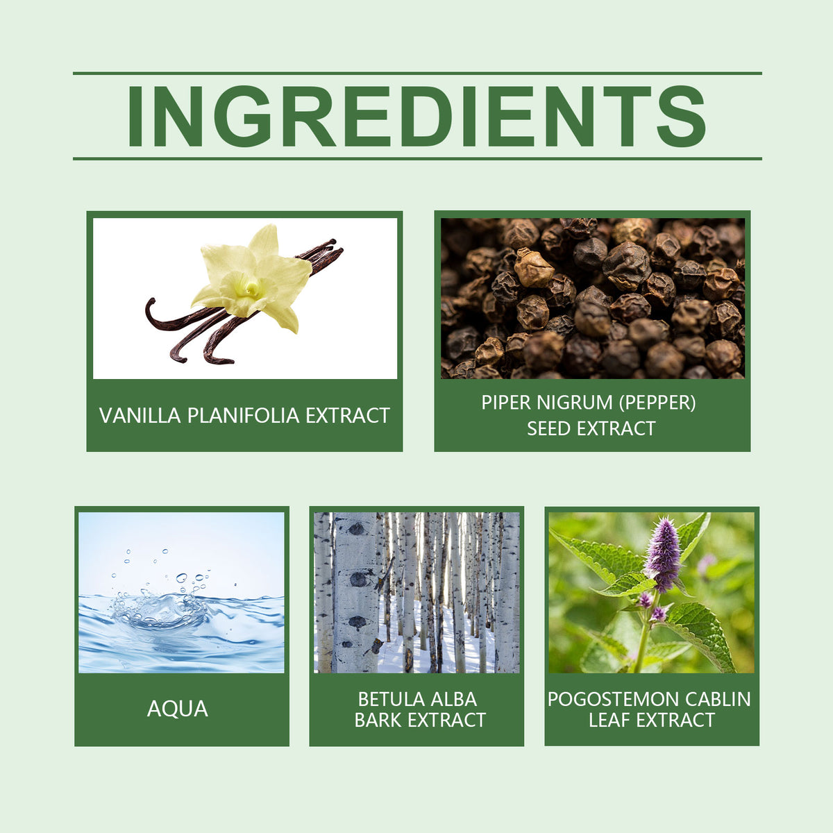 Parfum unique de la vanille de bouleau