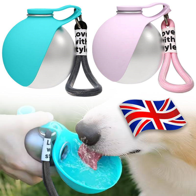 Bouteille d'eau portable 2-en-1 pour chien en acier inoxydable avec bol en silicone pliable