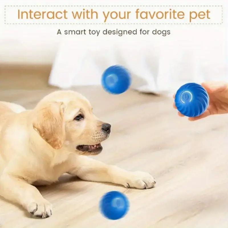 Blue and Orange Pet Buncing Ball Buncing Pet Ball pour chats et chiens