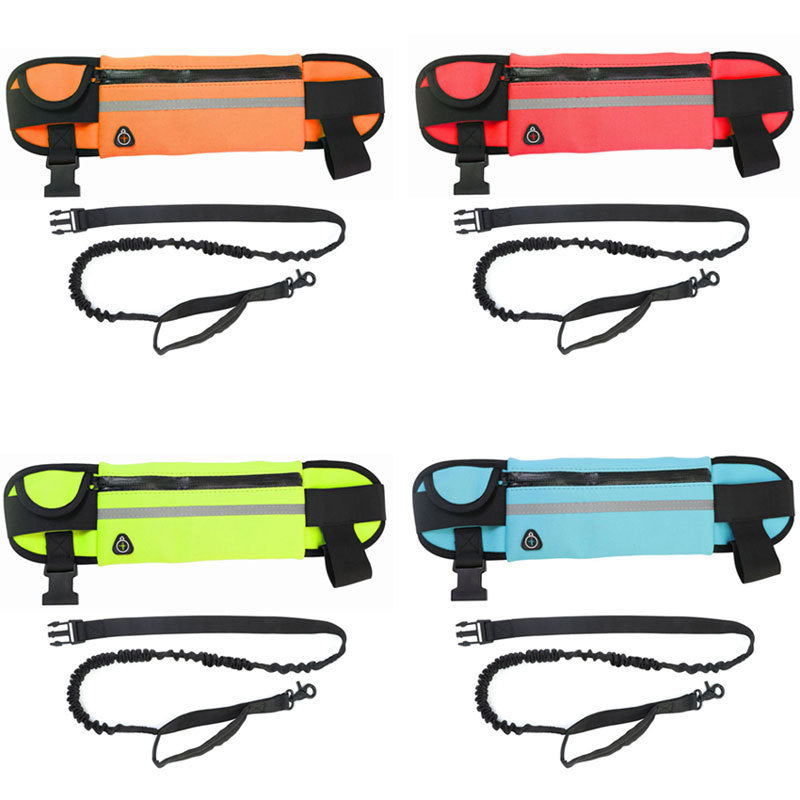 Entraînement pour animaux de compagnie Multi-Pocket Légère laisse