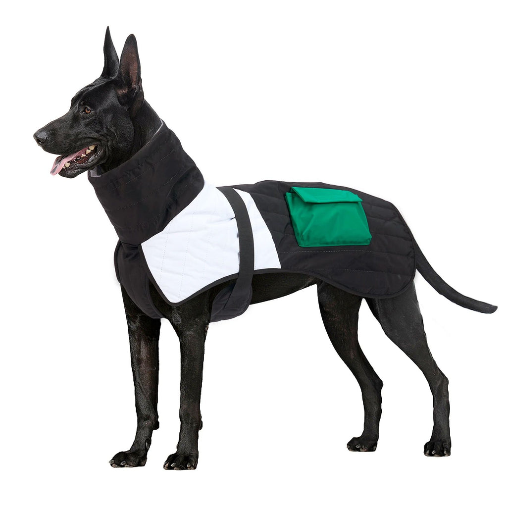 Hiver chaud épais imperméable vêtements de chien chaud pour petit moyen gros chiens chien manteau de chien G
