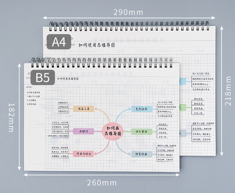 Carnet de notes de carte mentale avec modèle A4 Grand cuir souple