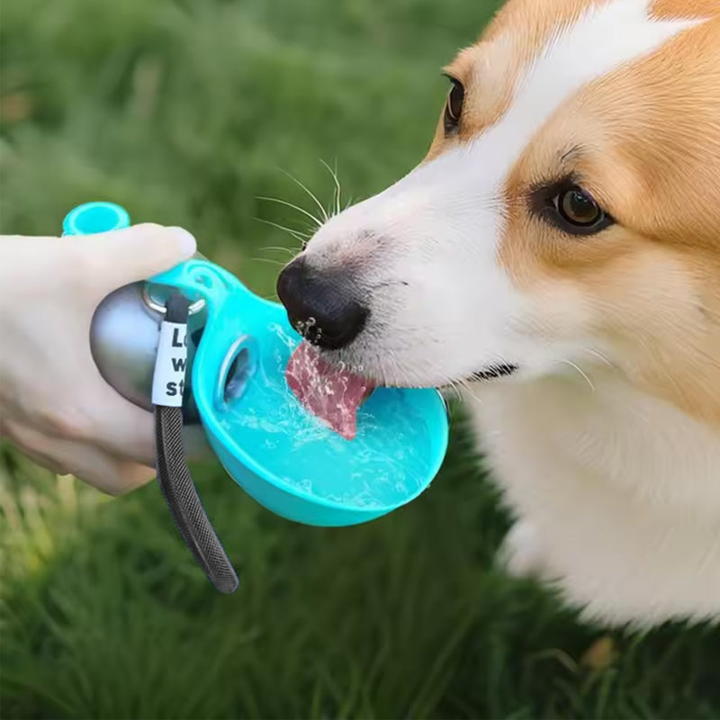 Bouteille d'eau portable 2-en-1 pour chien en acier inoxydable avec bol en silicone pliable