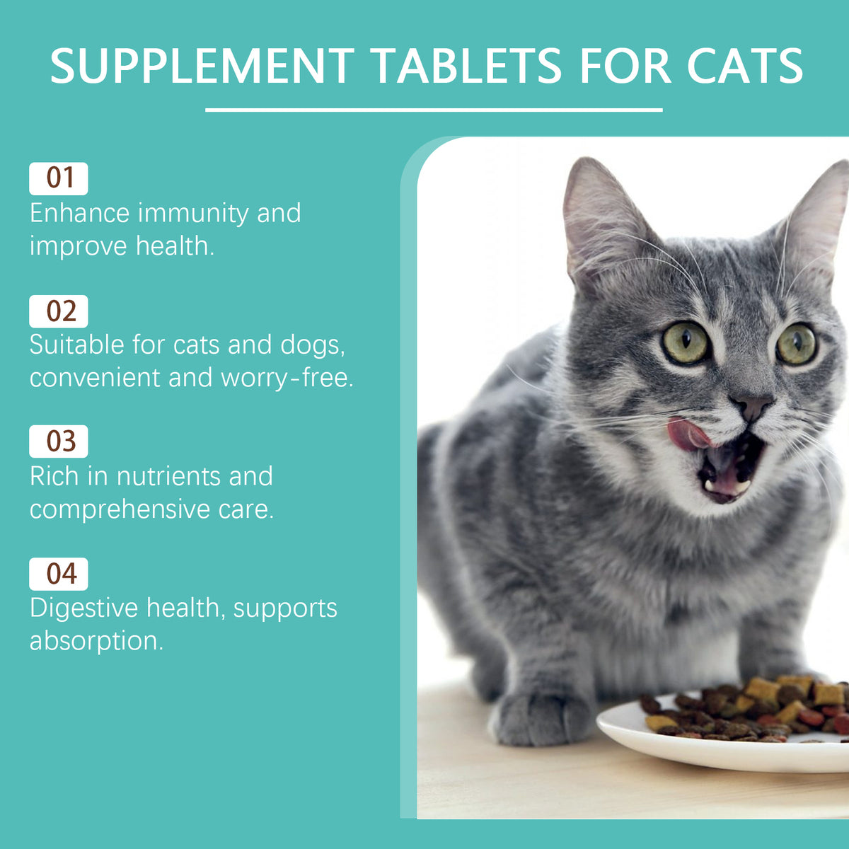 Cat Probiotic Supplement Tablets
