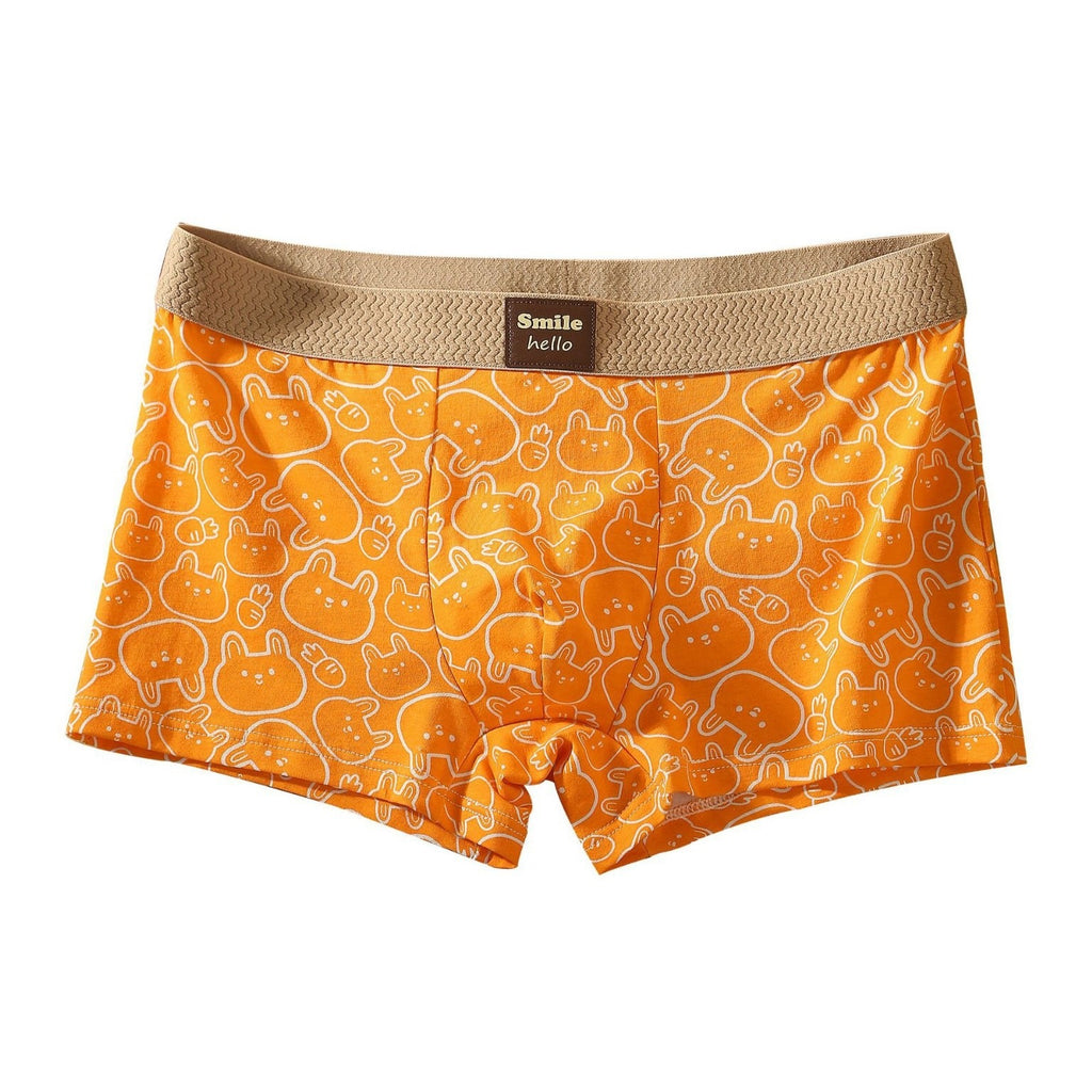 Sous-vêtements pour hommes Slips cartonnés en coton imprimé