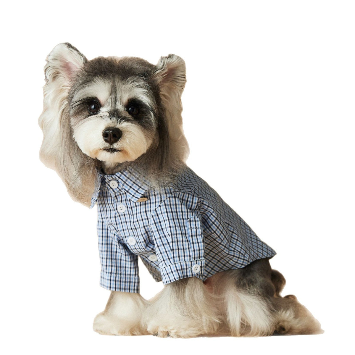 Vêtements de chien Été Petite chemise en Plaid