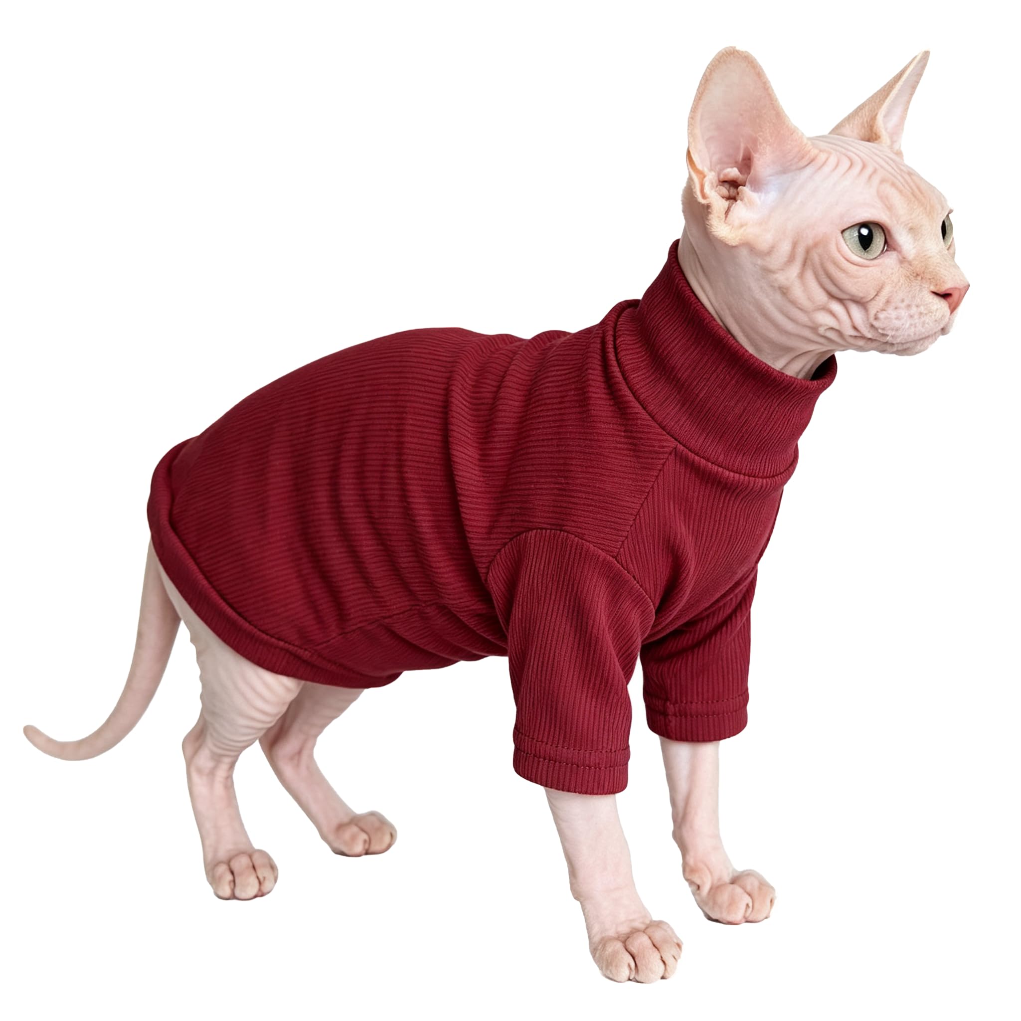 Sphynx Chats Vêtements Chats sans cheveux Chemise Col tortue Sphynx Vêtements Kitten Chandails T-shirts