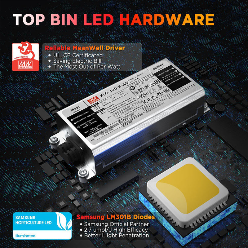 ETL Certified Mingwei Power Supply LM301B Quantum Edition Lampe