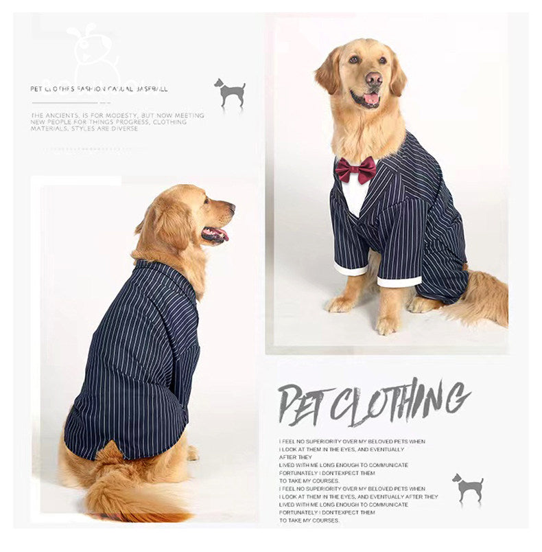 Vêtements polyvalents pour grands chiens